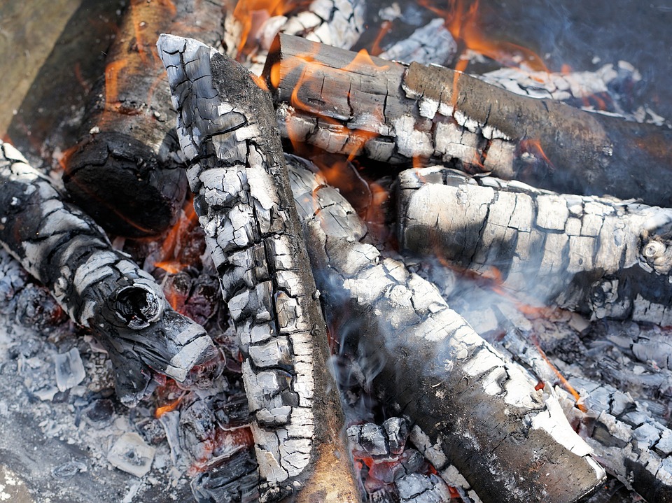burning campfire logs